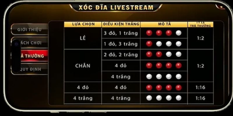 lua-chon-cua-cuoc